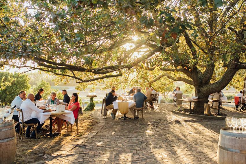 Ayama Farm Sudafrica