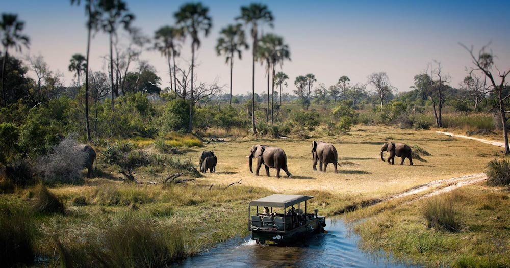 Botswana che cosa vedere