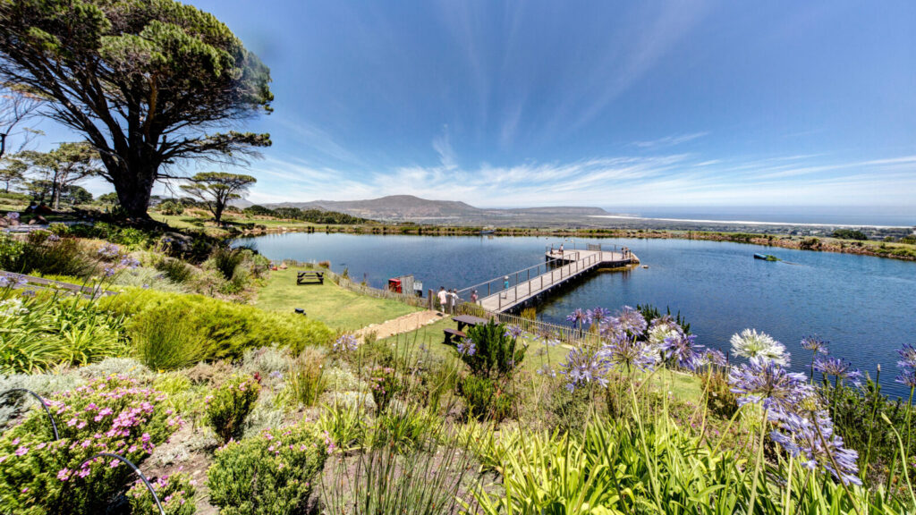 Picnic a Cape Point Vineyards in Noordhoek