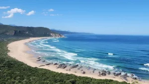 vivere a cape town